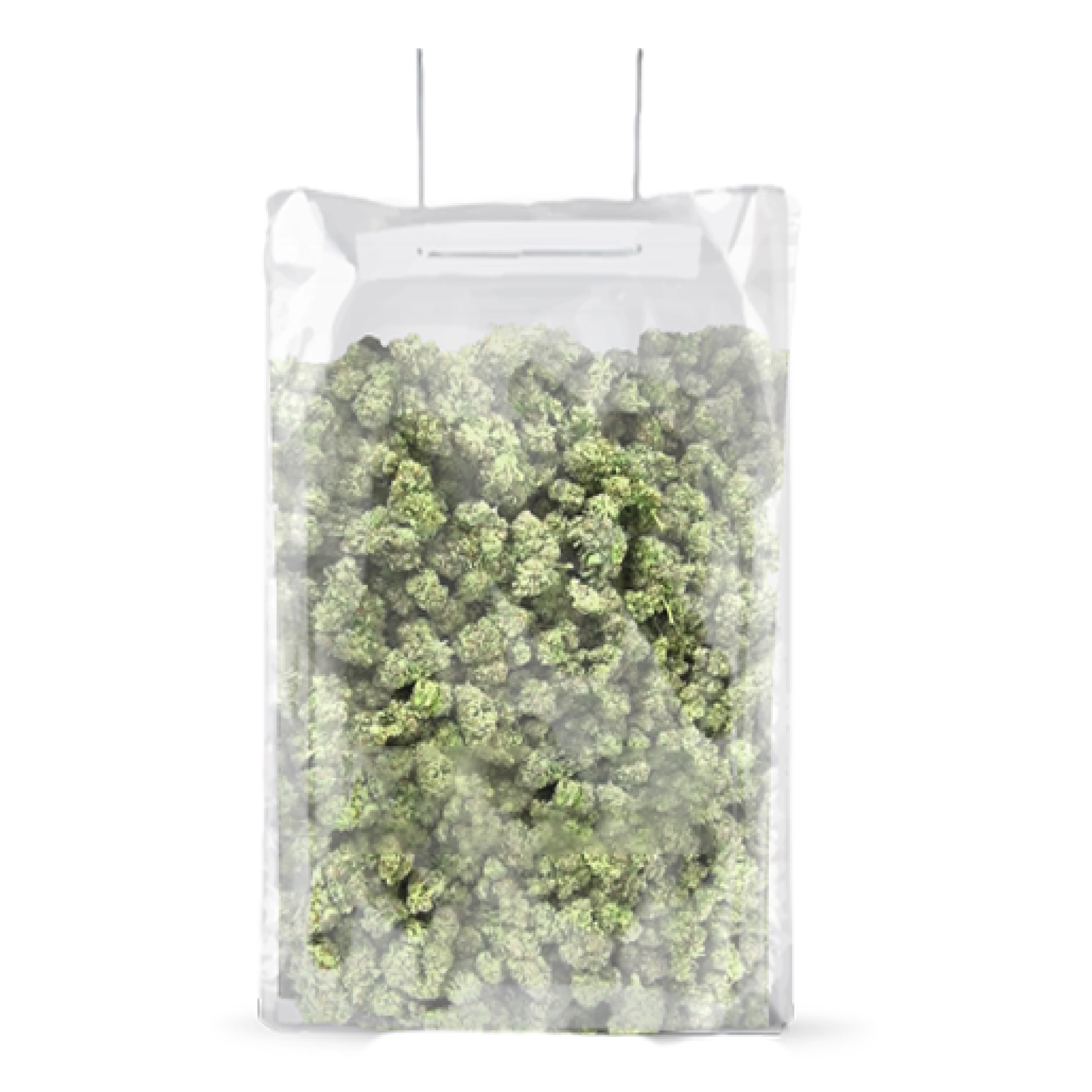 TerpLoc Terpy Bag - Single - Image 12